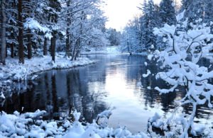 Flusslandschaft. Vitamin B12 im Dezember.