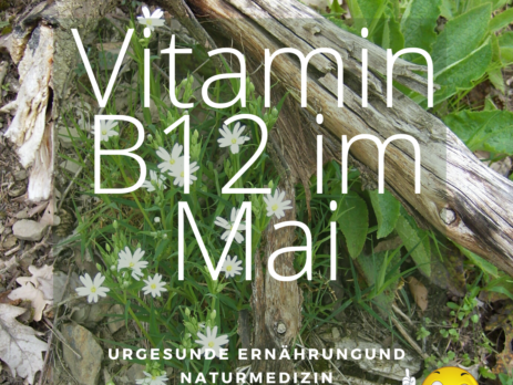 vegetarisch vegane Ernährung und Vitamin B12 studieren. Vitamin B12 im Mai.