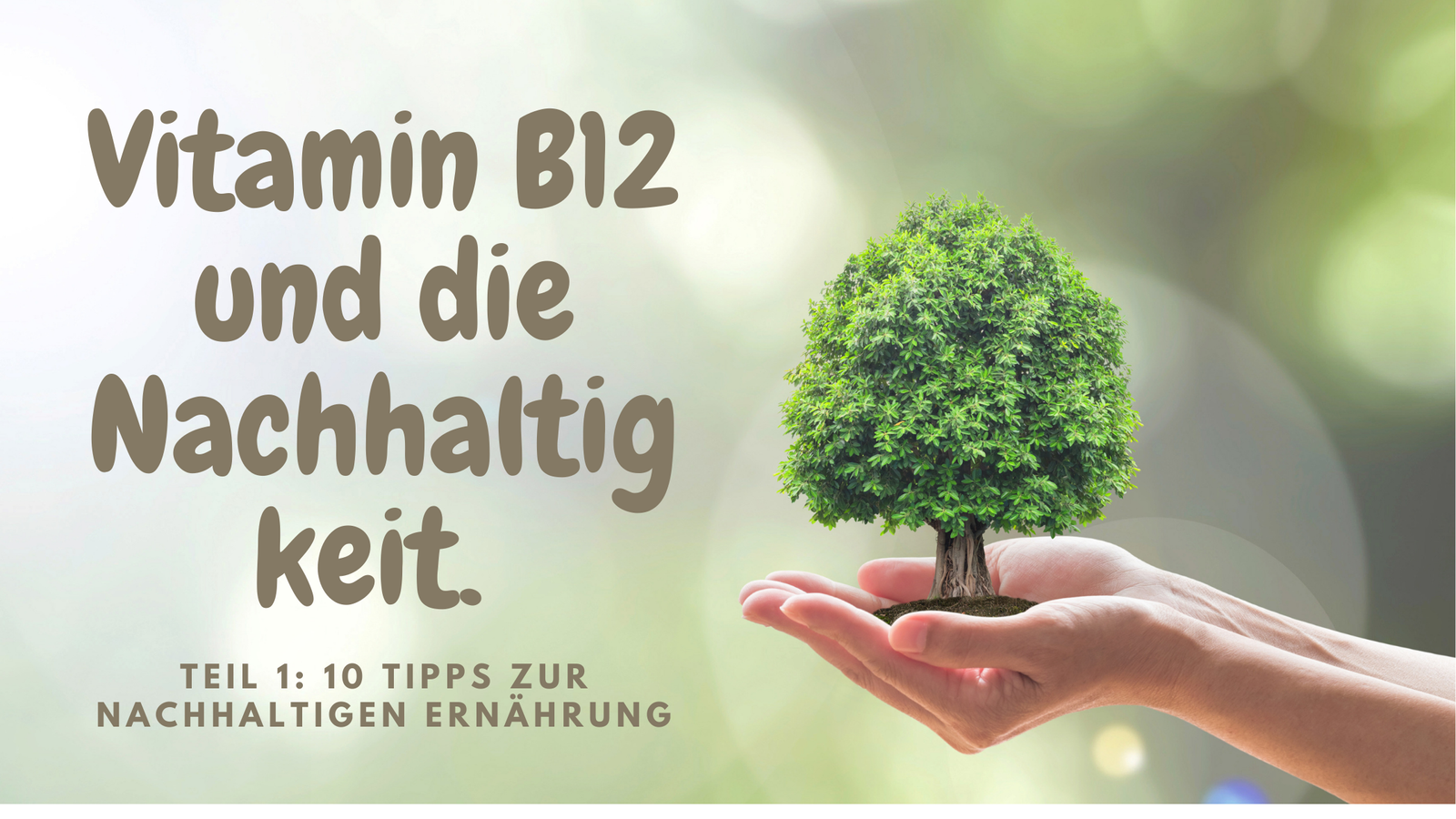 Vitamin B12 und die Nachhaltigkeit. Tipps zur nachhaltigen Ernährung