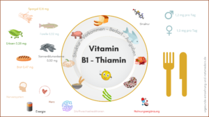 Thiamin Vitamin B1 und Vitamin B12