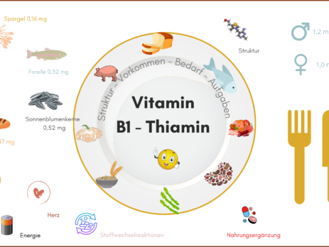 Thiamin Vitamin B1 und Vitamin B12